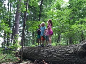 A4410700-5562-43E2-B2C5-4D7BFA4B0BCE_1_105_c