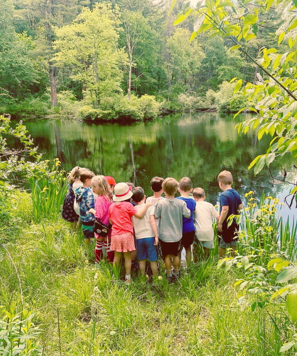 A group of children standing together at the edge of a pond in the woods
