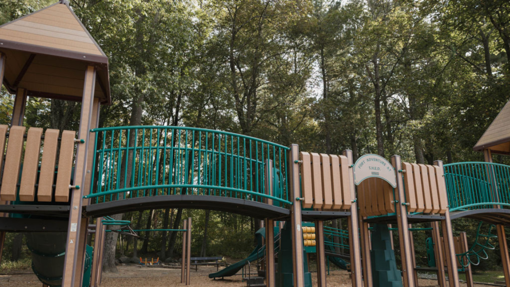 The SHED playground among the trees