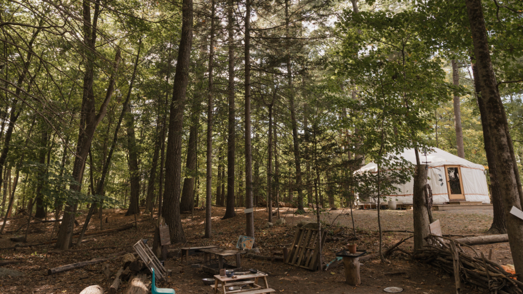 A yurt in the SHED woods